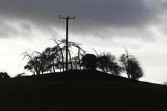 Four tips for staying safe using chainsaws