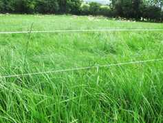 Farmer Writes: the start to the breeding season