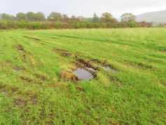 Thousands of acres of silage still to be cut in NI