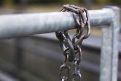 Man pleads not guilty to theft of €107,300 worth of livestock