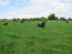 What's On from Thursday 19 October 2017