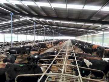 News briefs from Northern Ireland