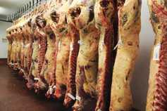 Beef kill increases to 38,248          