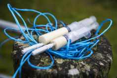 Dairy management: pricing for dosing