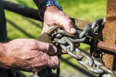 Major livestock theft trial collapses