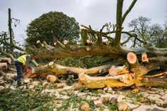 Power restored to 20,000 more homes and farms as Storm Brian continues