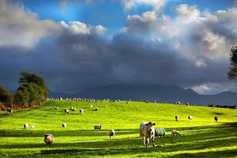 Weekly weather: scattered showers and sunny spells