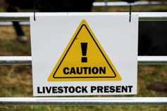 Minute of silence for farm accident victims at marts