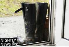 Irish Farmers Journal nightly news: beef prices, farm safety and bluetongue