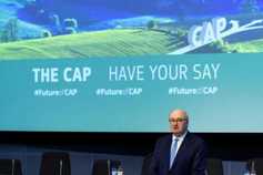 Focus on environment and rural community in CAP reform proposals