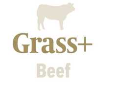 Grass+ beef: good forecast can reduce silage pressure