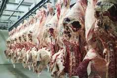The Russian beef industry in numbers