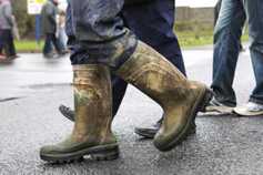 IFA news and activities this week 