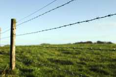 TAMS II: applications by farm size and latest update on approvals