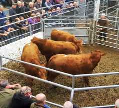 In pictures: strong turnout at Bandon bank holiday sale