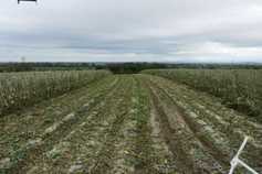 Watch: 2018 updates for Claas 900 series forage harvesters