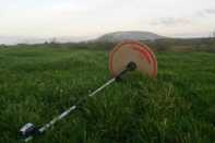 It’s not just Munster that can grow grass