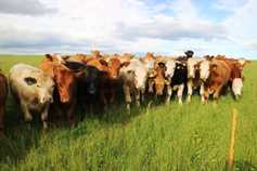 We need contingency plan for a ‘no deal’ Brexit    