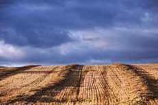 Straw being imported from Spain
