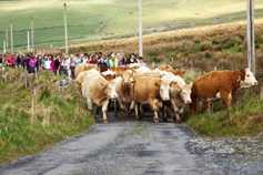 Weekly podcast: women in farm organisations, straw shortage, David McWilliams 