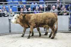 Farm payments give northern mart trade a boost