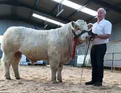Top price of €7,400 at Charolais sale in Tullamore