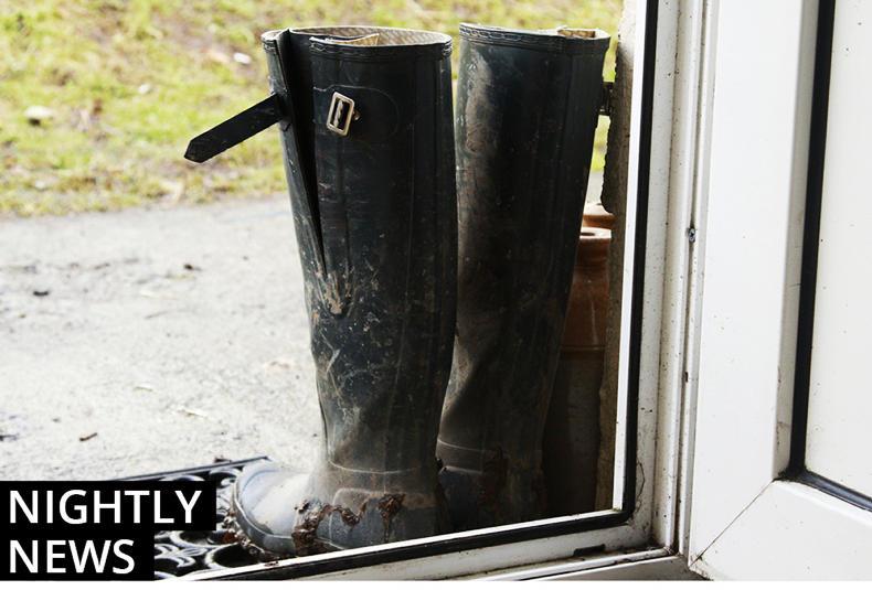 Irish Farmers Journal nightly news 