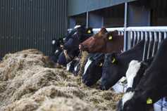 Lakeland urges farmers to review fodder supplies