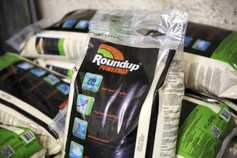 France in new glyphosate U-turn