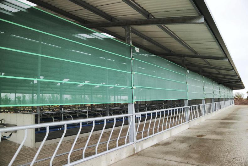 Watch top class 160cow cubicle shed 27 March 2019 Premium