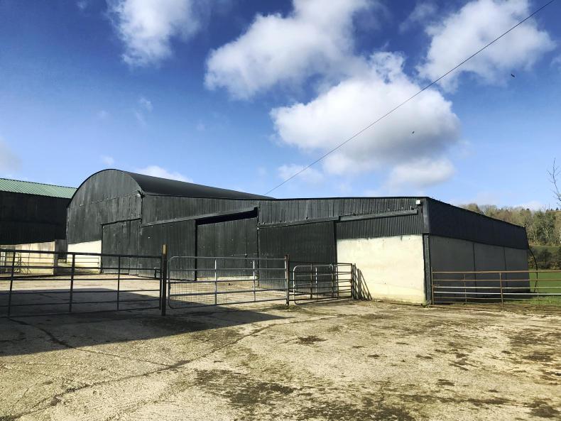 Large Wicklow farm seeks €7,700/ac 17 April 2019 Premium