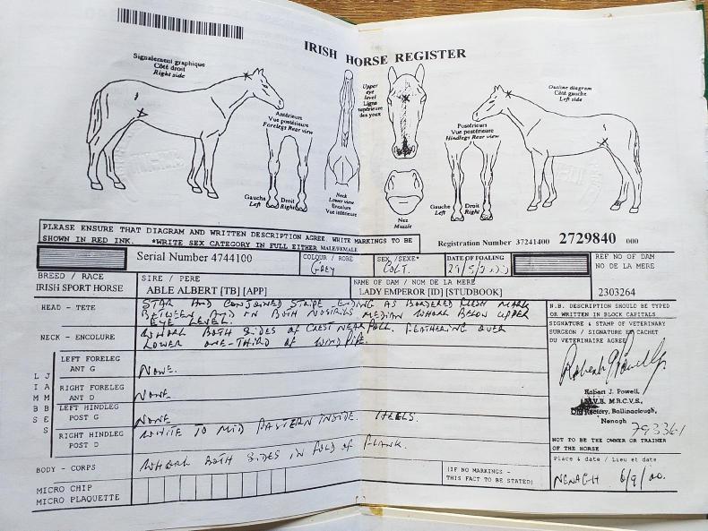 Horsemeat horse slaughter numbers and passport rules Premium