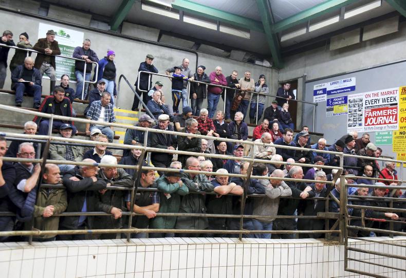 This week in photos Donegal tractor run, harvesting and Ennis Mart