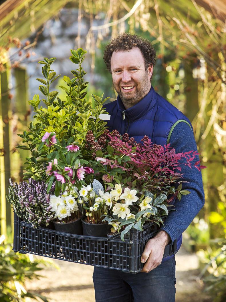 country living gardens on Irish Country Living Lounge At The Ploughing Gardening With Robert Miller 16 September 2019 Free