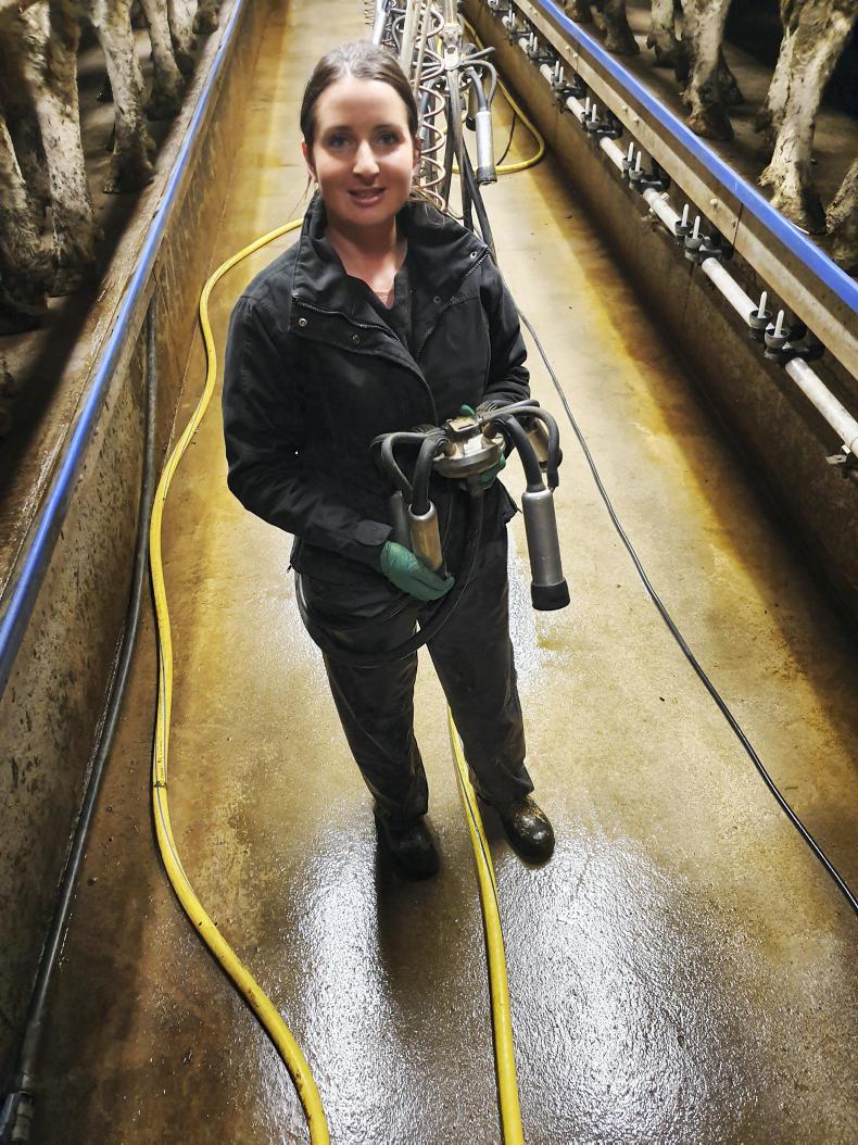 A day in the life of a kiwi milking cows in Ireland Premium