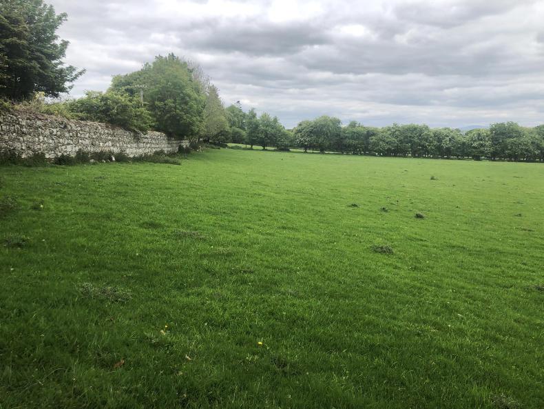 Two farmland properties on the market in Carlow Premium