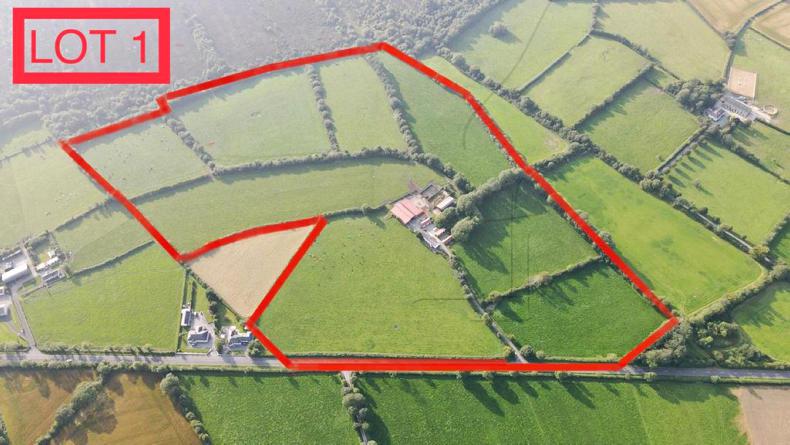 67ac on the edge of Portlaoise - Premium