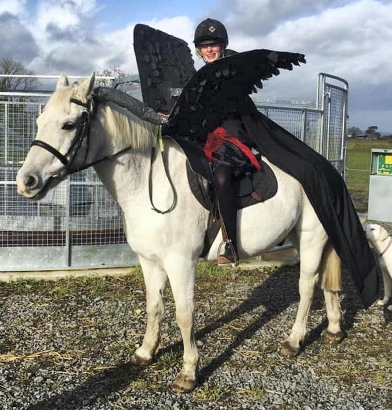 pony club fancy dress ideas Pony Fancy Dress Costumes for Kids