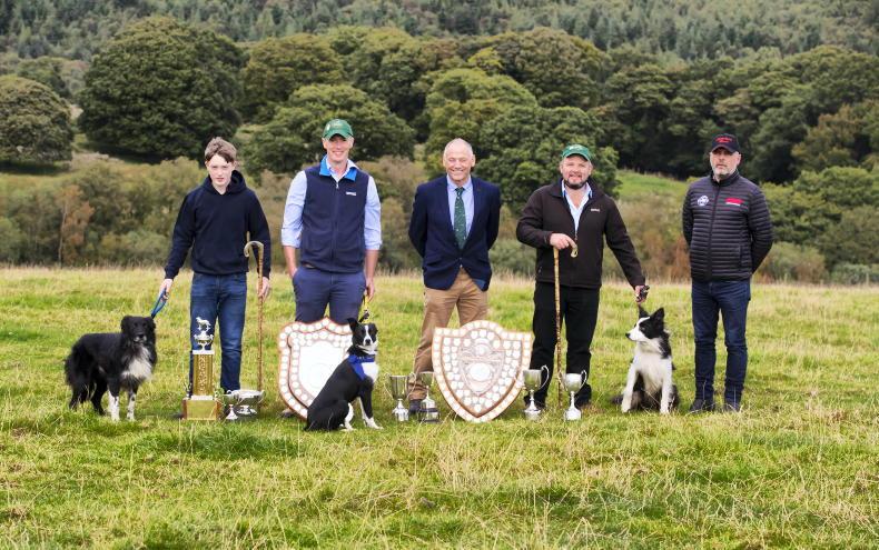 Victorious Irish sheepdog trials team to host next International finals 22  September 2021 Free