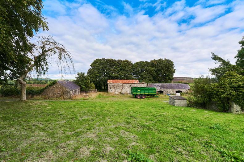 Big tillage and forestry farm in Westmeath Free