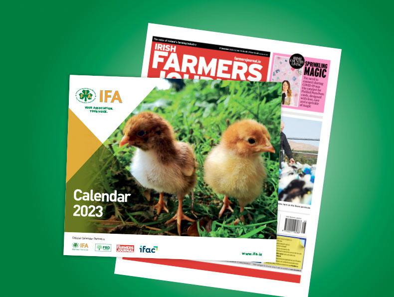 Don't miss your free 2023 IFA calendar inside this week's paper 14 December  2022 Free