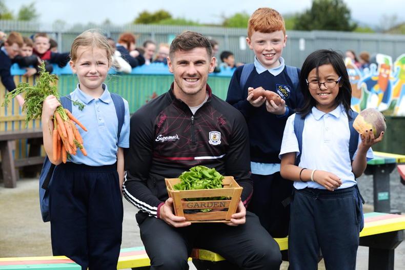Agri Aware and Dole Ireland team up to promote healthy eating in Irish  schools - Free