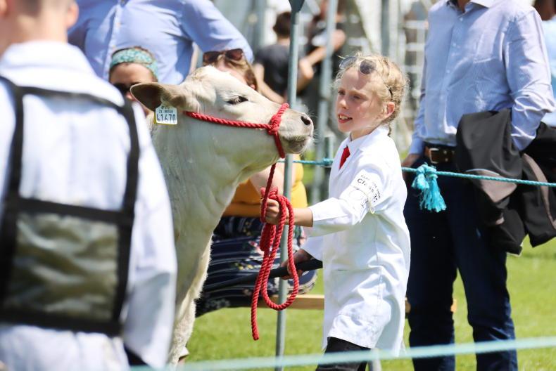In pictures: champions caught on camera at Barryroe Show - Free