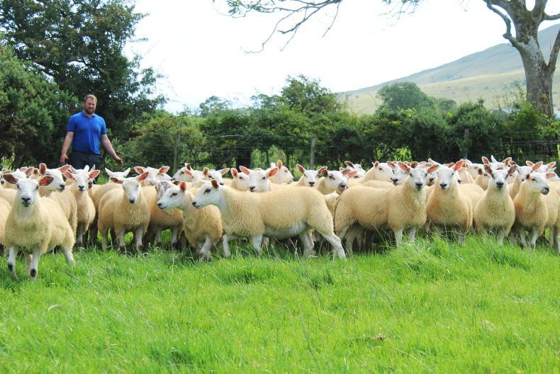 My Farming Week Alwyn McFarlane, Dungiven, Co Derry Free