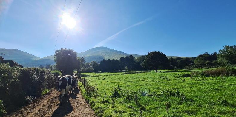 Farm Looking In pictures: our favourite farming photos of the week - Free