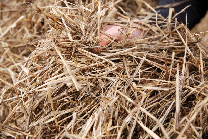 Targeting Use Of Limited Straw Bedding, Helping farmers in Scotland