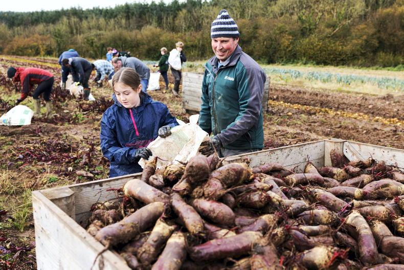 Betroot Farm Irish Farmers Journal – For the Latest Farming News in Ireland