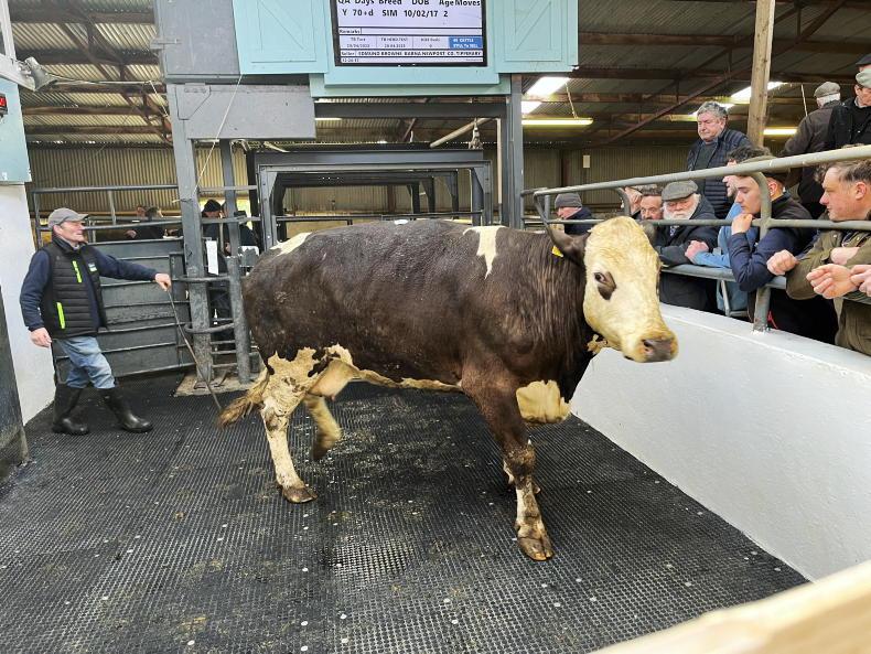 Camera at the Mart numbers on the rise in Newport Free