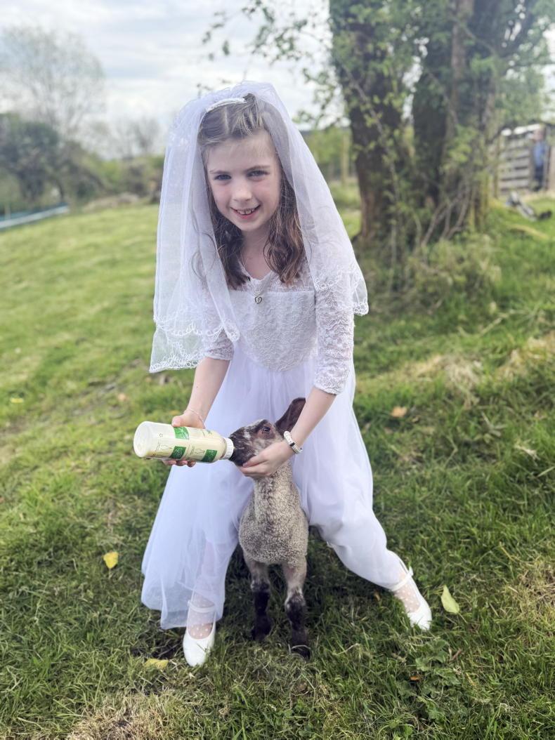 In pictures: our favourite readers' photos of the week - Free In pictures: our favourite readers' photos of the week - Free
