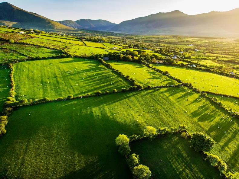 Big landowners in Fine Gael firing line 
